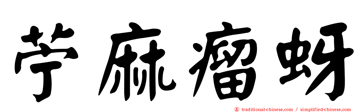苧麻瘤蚜