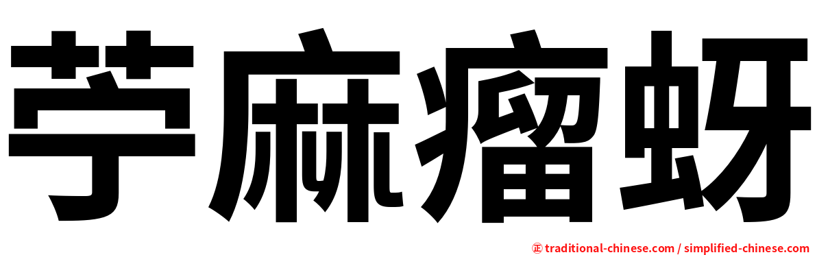 苧麻瘤蚜