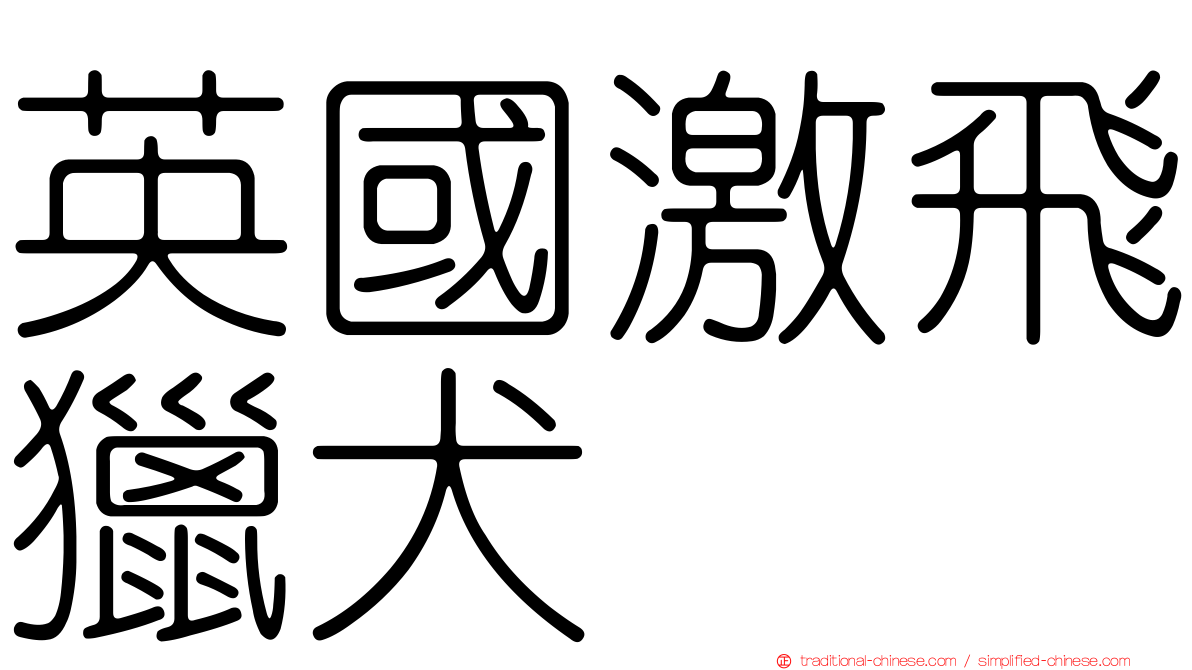 英國激飛獵犬