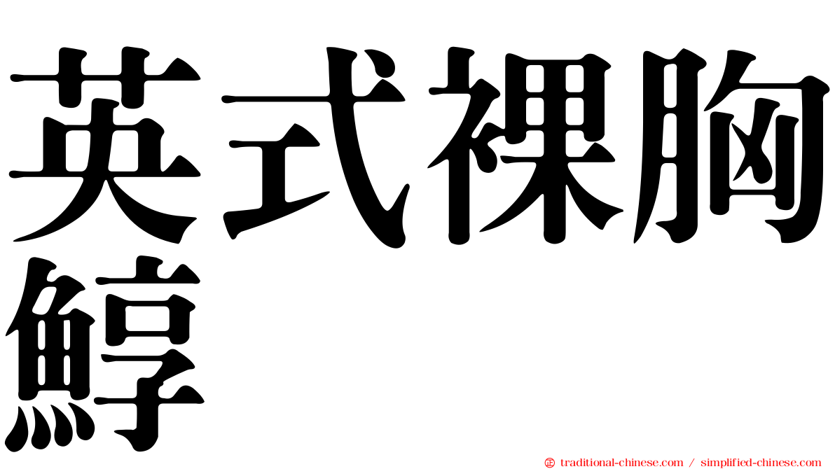 英式裸胸鯙