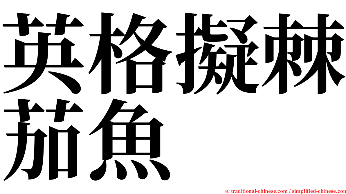 英格擬棘茄魚 serif font