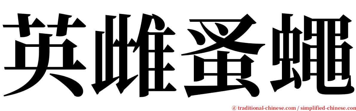 英雌蚤蠅 serif font