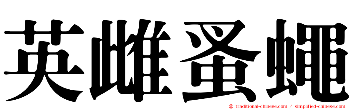 英雌蚤蠅