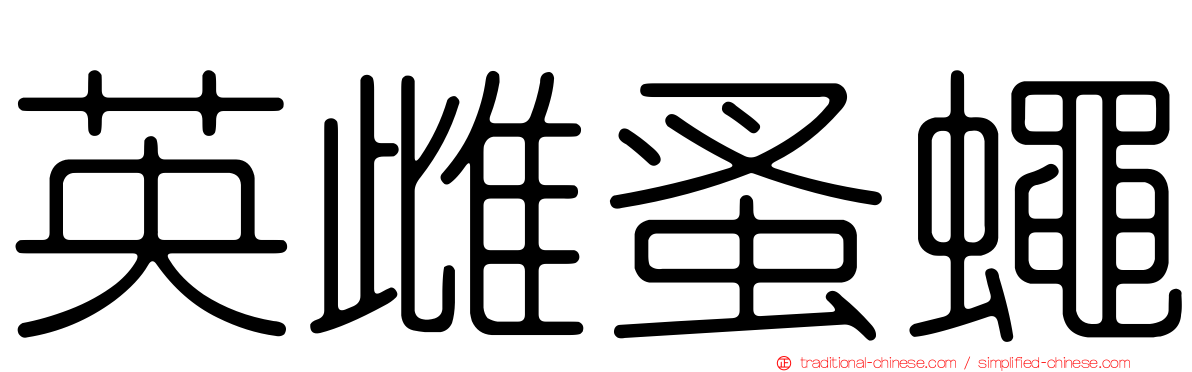 英雌蚤蠅