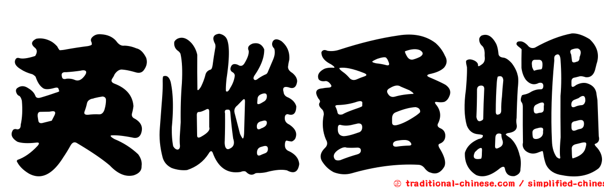 英雌蚤蠅