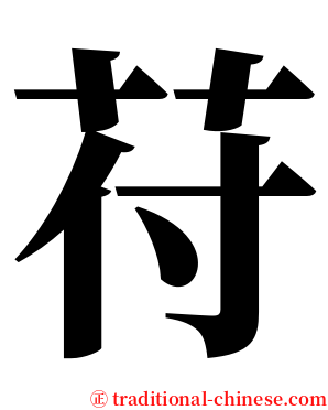 苻 serif font