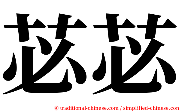 苾苾 serif font