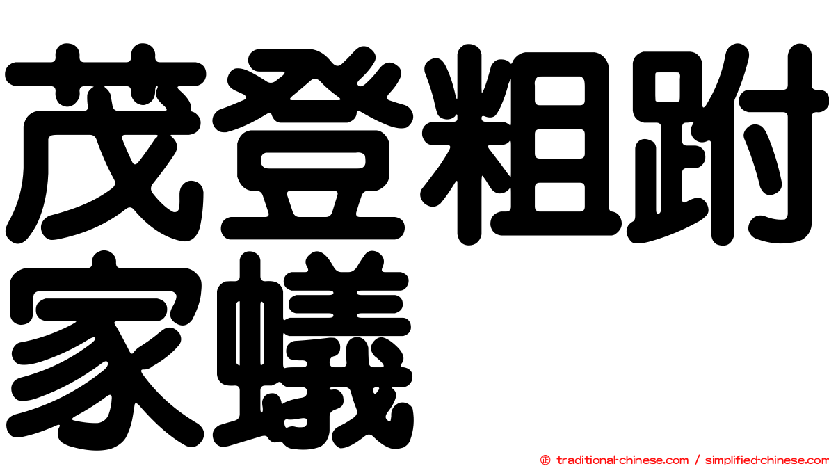 茂登粗跗家蟻