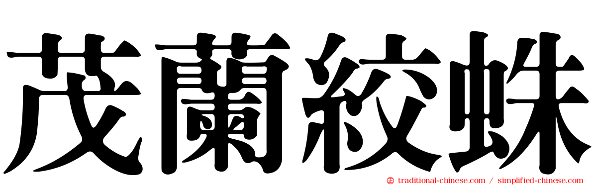 茂蘭絞蛛