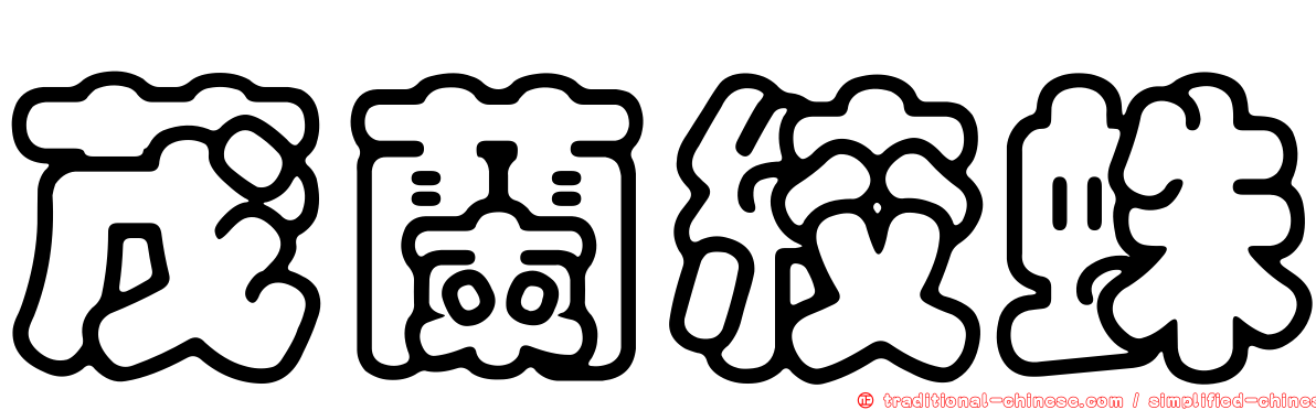 茂蘭絞蛛