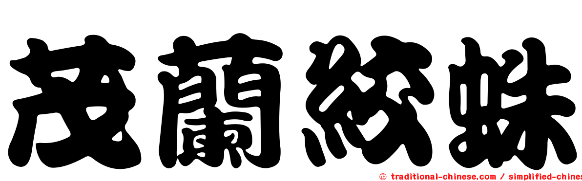 茂蘭絞蛛