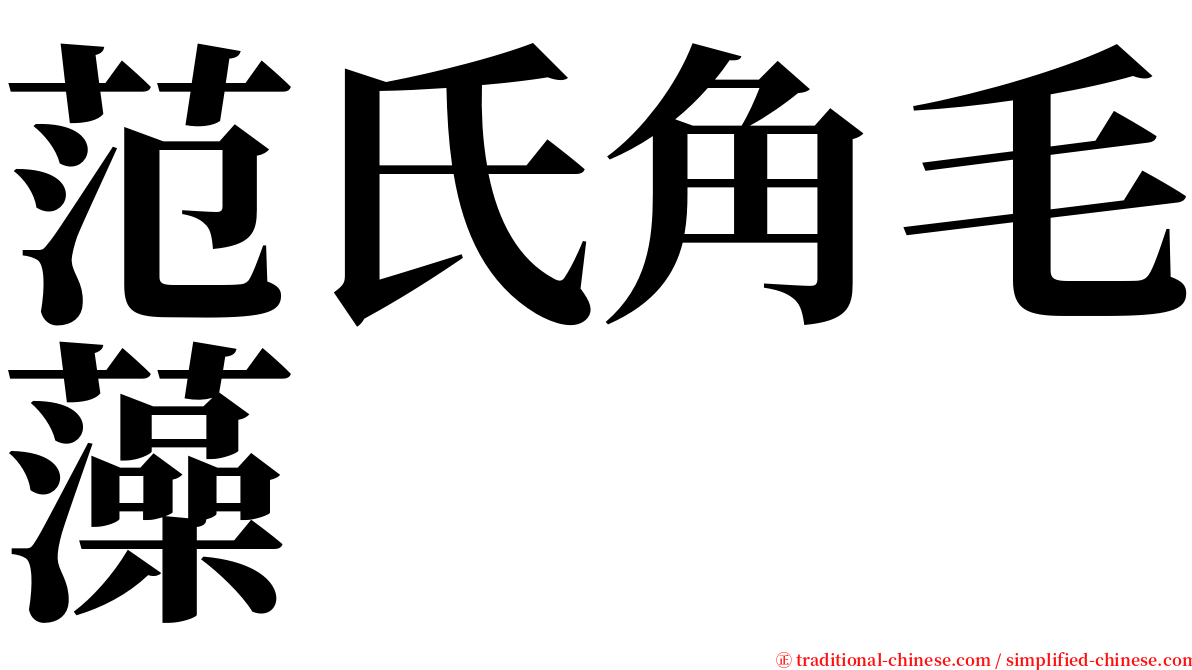 范氏角毛藻 serif font