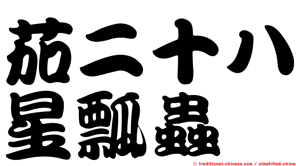 茄二十八星瓢蟲
