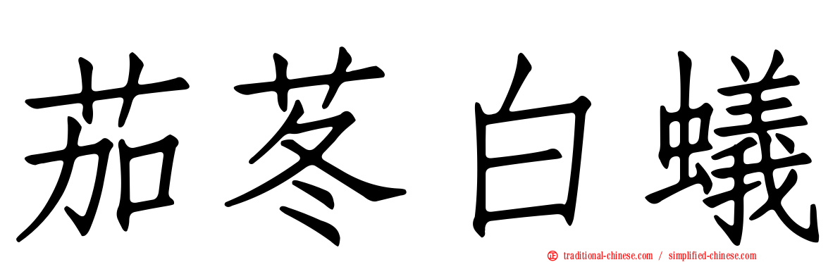 茄苳白蟻
