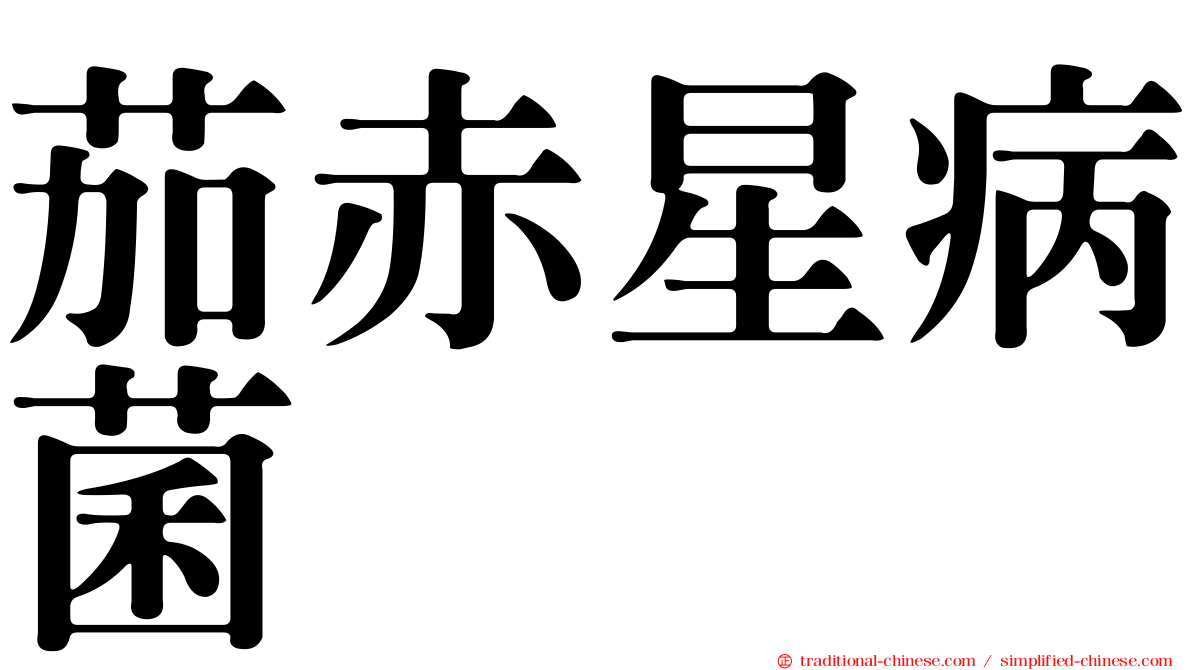 茄赤星病菌