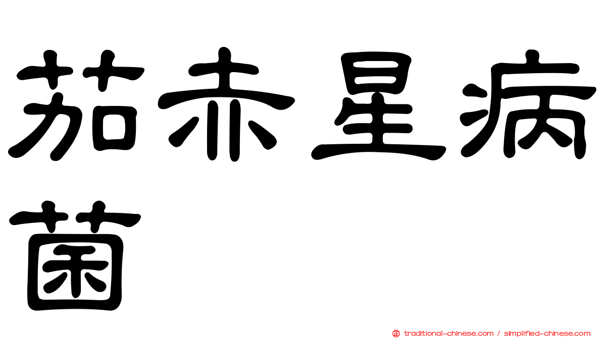 茄赤星病菌