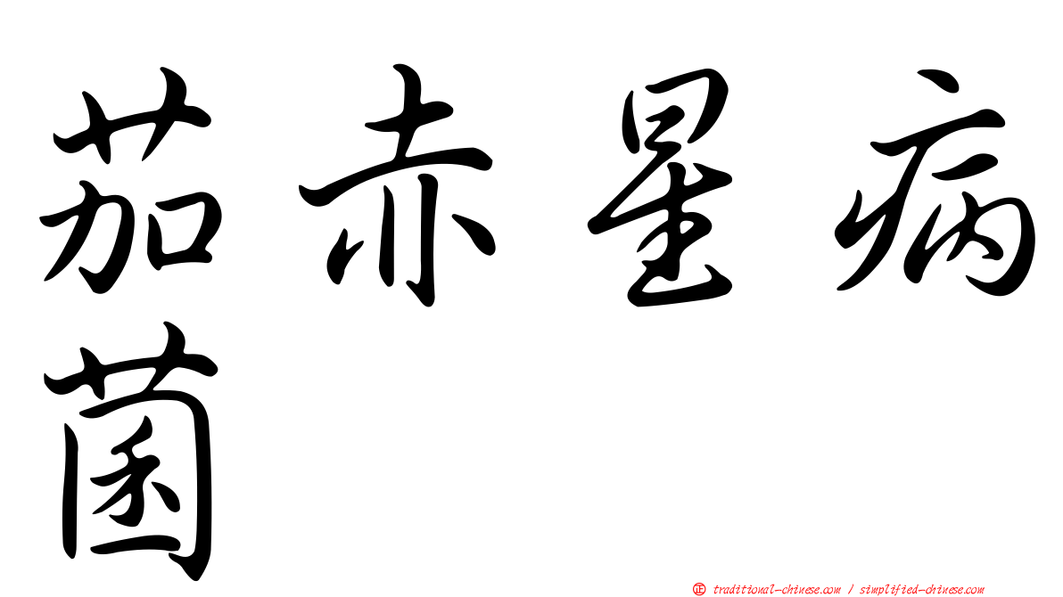茄赤星病菌