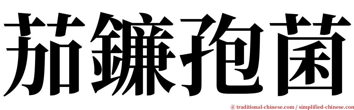 茄鐮孢菌 serif font
