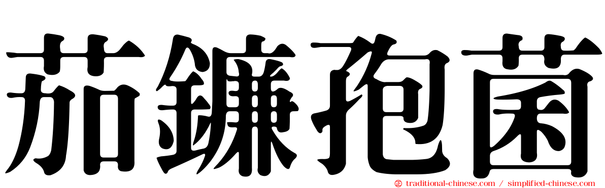茄鐮孢菌