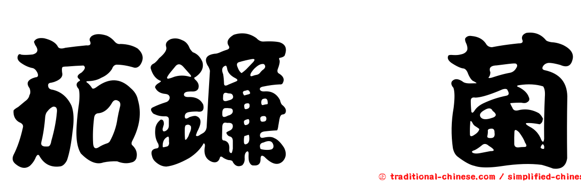 茄鐮孢菌