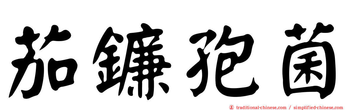 茄鐮孢菌