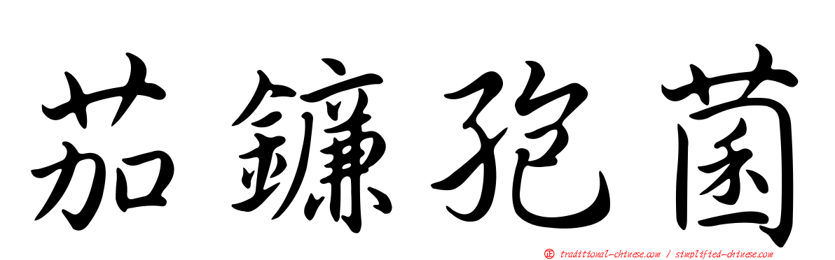茄鐮孢菌