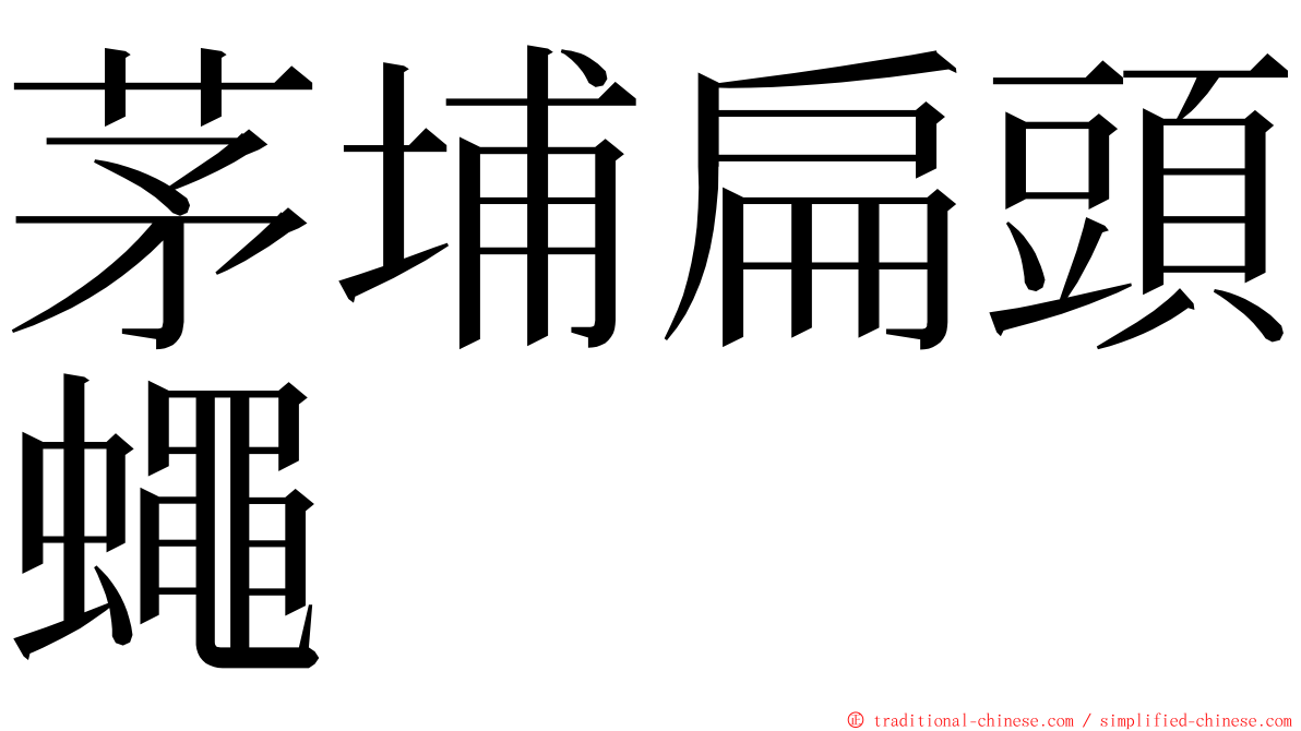 茅埔扁頭蠅 ming font