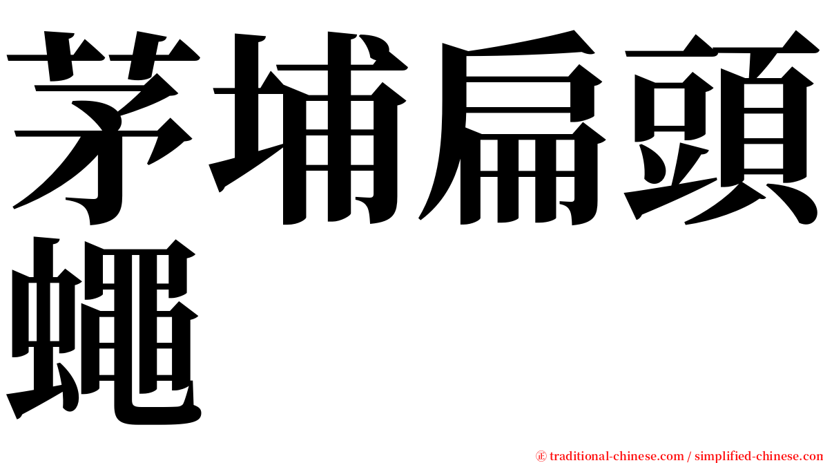 茅埔扁頭蠅 serif font