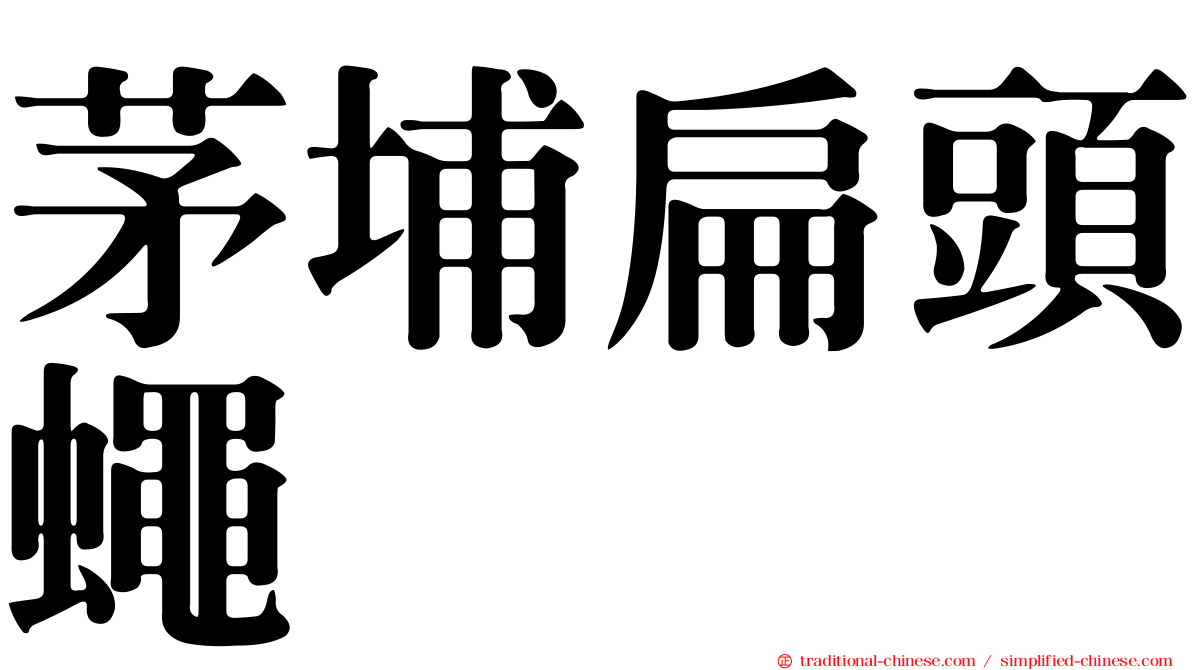 茅埔扁頭蠅