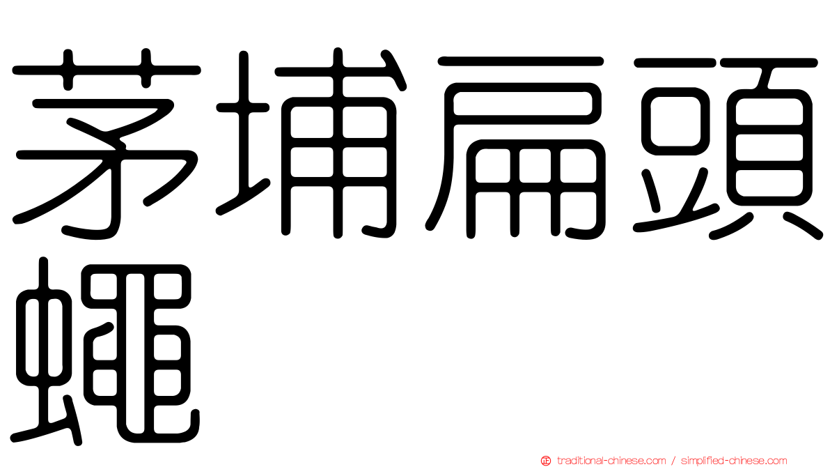 茅埔扁頭蠅