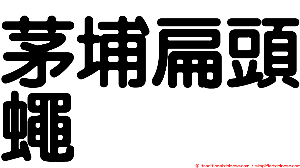 茅埔扁頭蠅