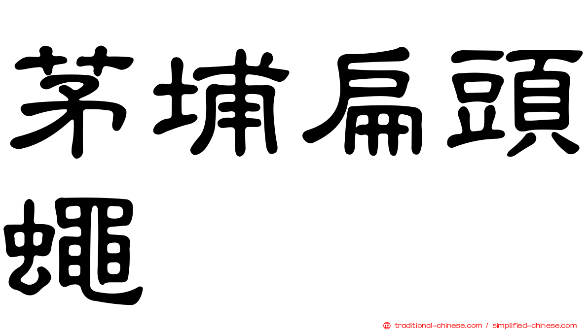 茅埔扁頭蠅