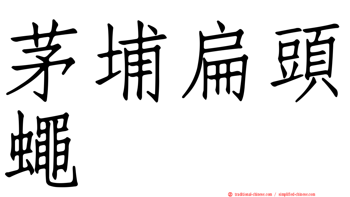 茅埔扁頭蠅