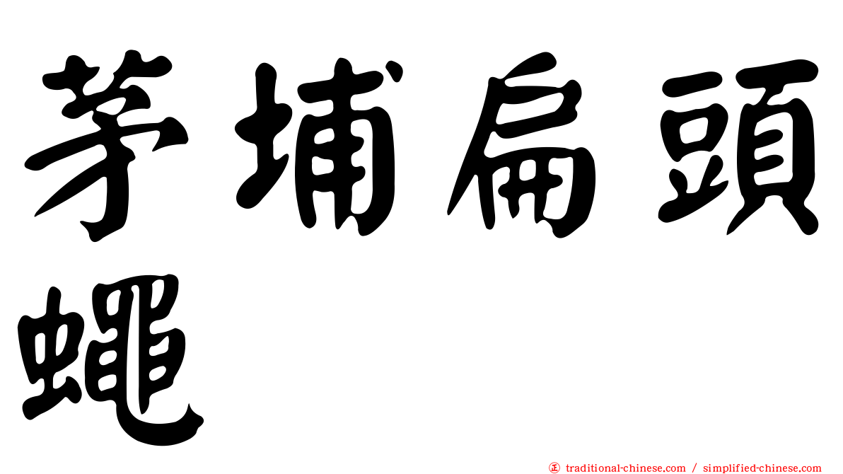 茅埔扁頭蠅