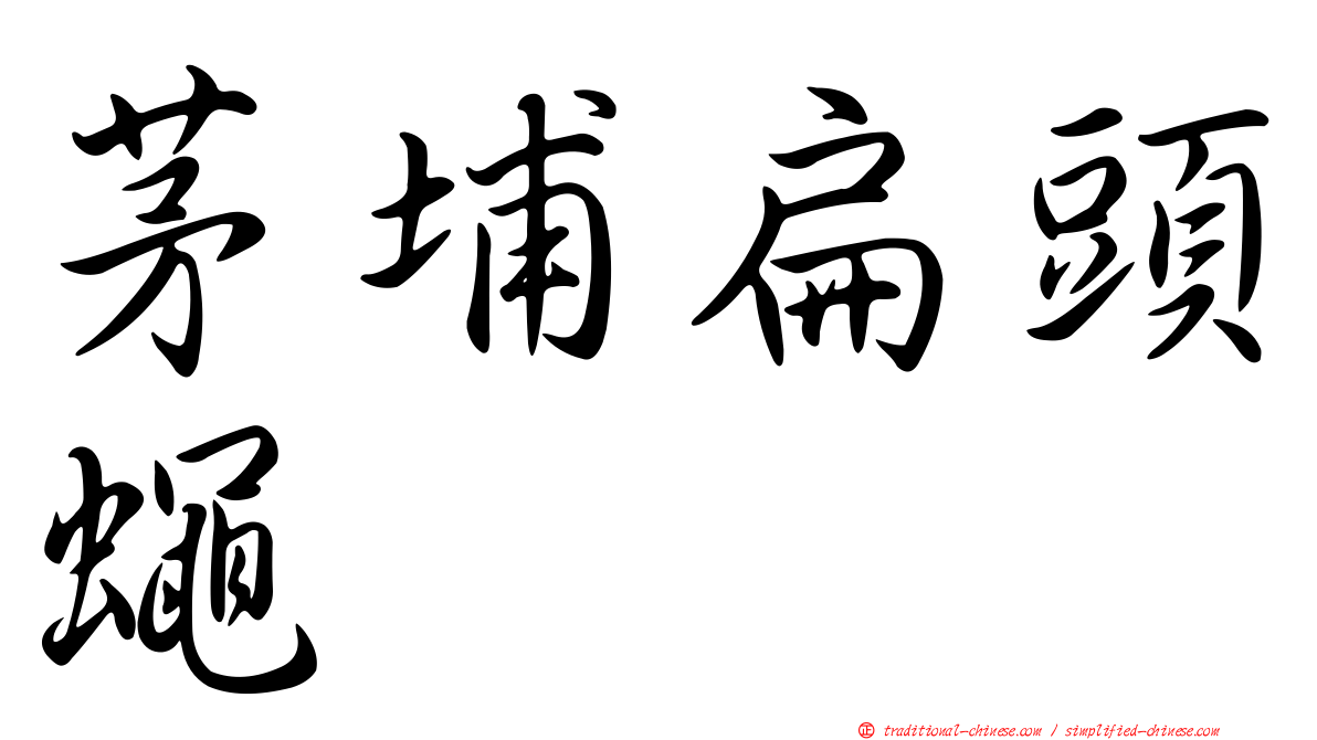 茅埔扁頭蠅