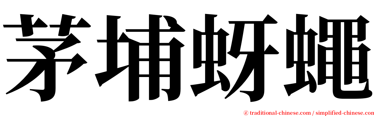 茅埔蚜蠅 serif font