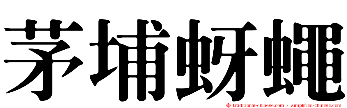 茅埔蚜蠅
