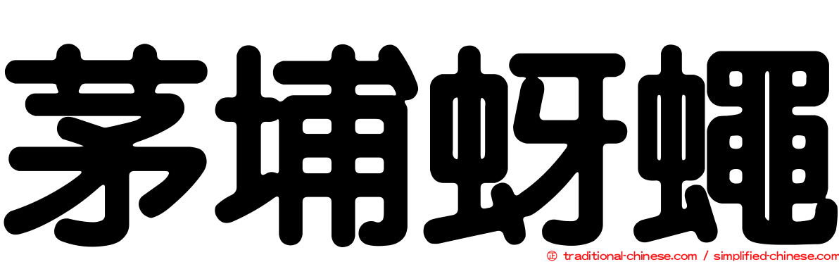 茅埔蚜蠅