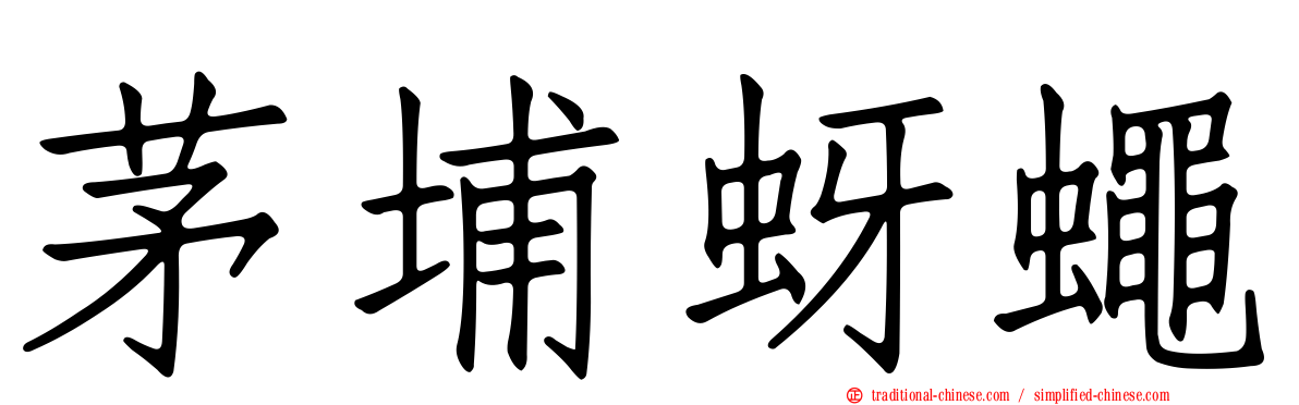 茅埔蚜蠅