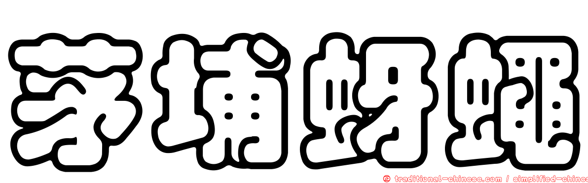 茅埔蚜蠅