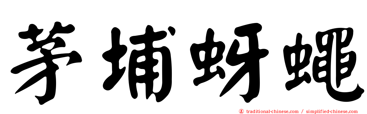 茅埔蚜蠅