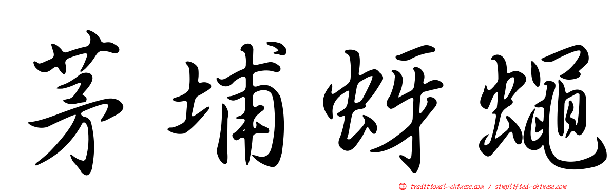 茅埔蚜蠅