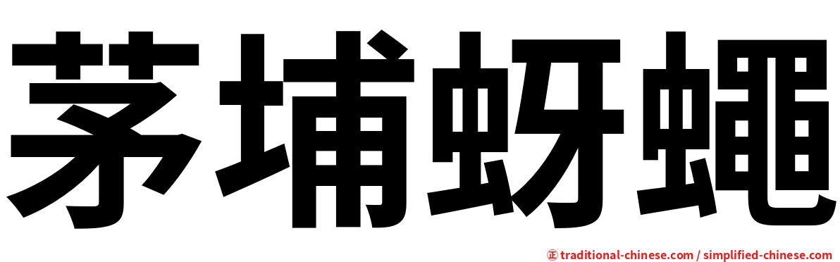茅埔蚜蠅