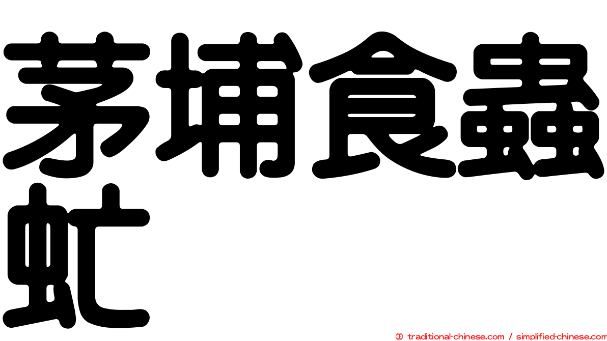茅埔食蟲虻