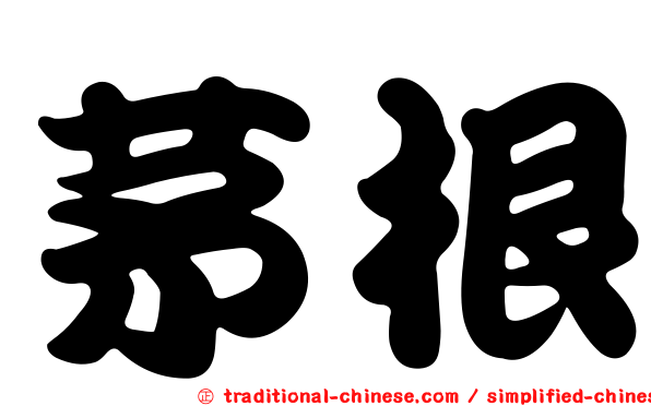 茅根