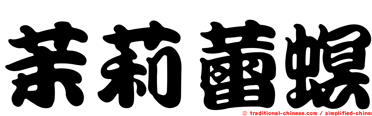 茉莉蕾螟