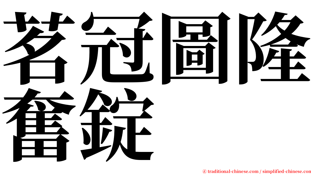 茗冠圖隆奮錠 serif font