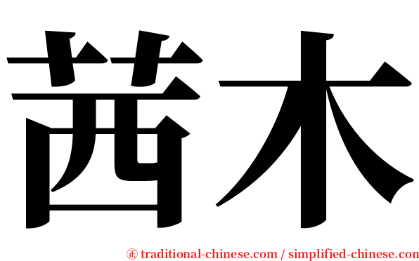 茜木 serif font