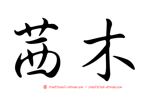 茜木