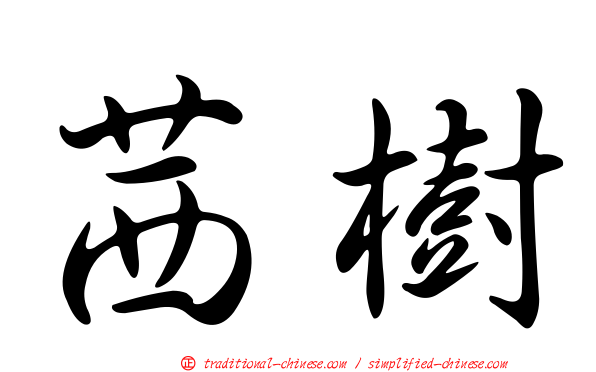 茜樹